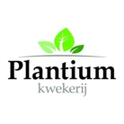 Plantium Kwekerij Nederland