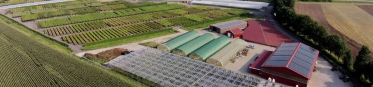 Bio Baumschule Geers GmbH