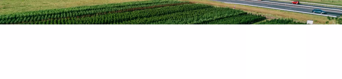 Plantium Kwekerij Nederland