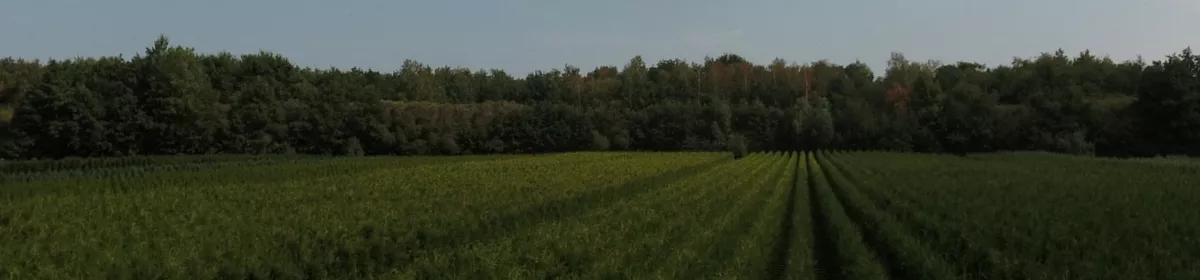 Boomkwekerij Hartemink Zelhem