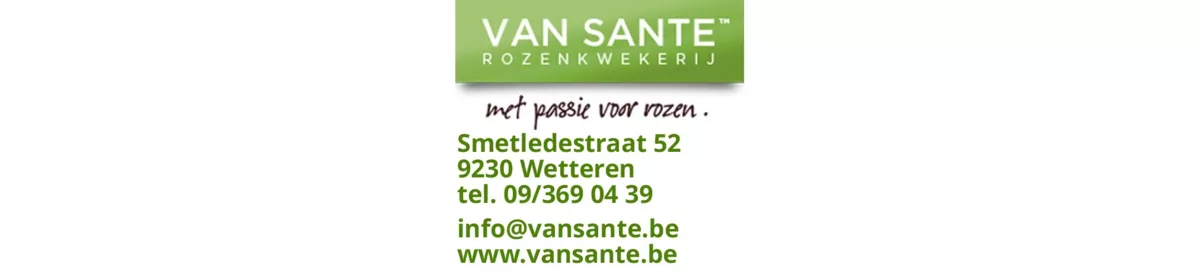 Roses van sante carl