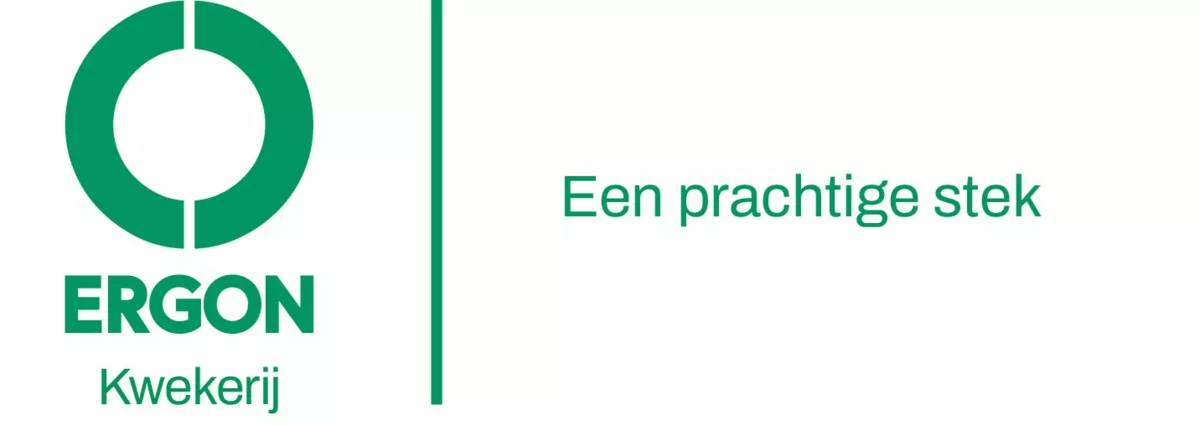 Ergon afdeling Kwekerij