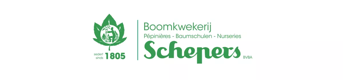 Boomkwekerij Schepers BV